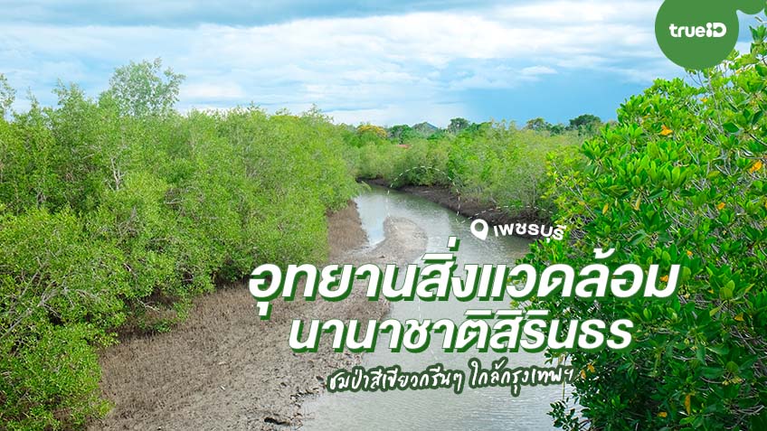 ประชาสัมพันธ์ เชิญชวนศึกษาเรียนรู้ในอุทยานสิ่งแวดล้อมนานาชาติสิรินธร และโครงการพระราชดำริในจังหวัดเพชรบุรี